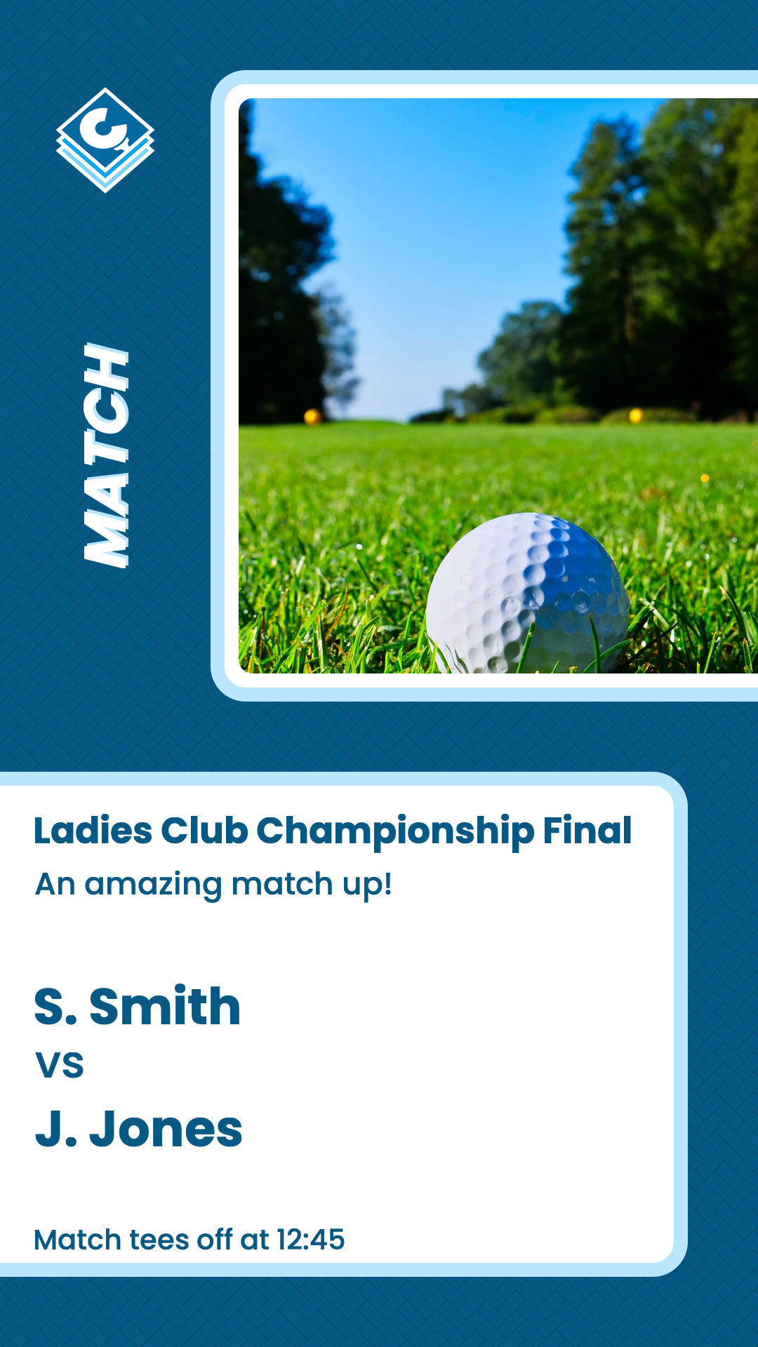 Example capsule image showing match.