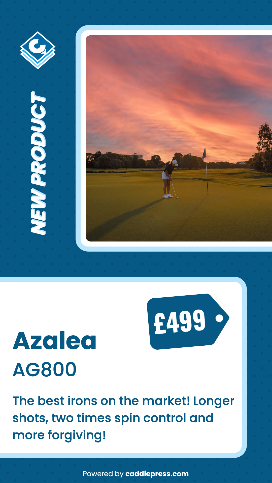 Example capsule image showing product.